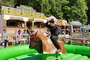 Bull-Riding-Cowboy.jpg